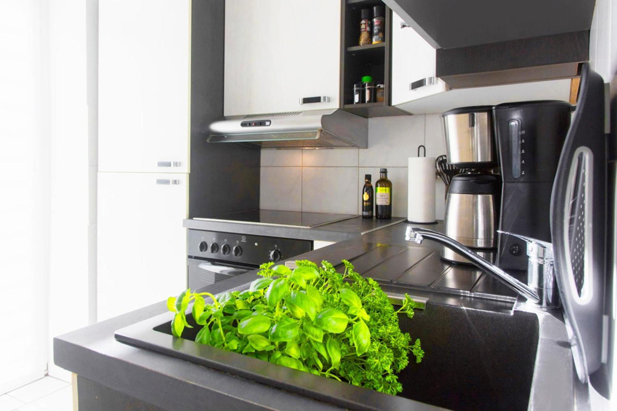 Bauhaus Design-Luxus Apartment, 20Er Jahre Stil, Garten Gera Exterior photo